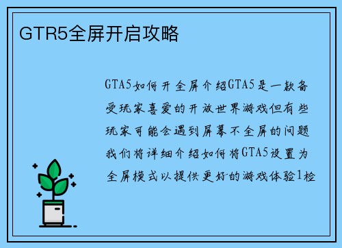 GTR5全屏开启攻略
