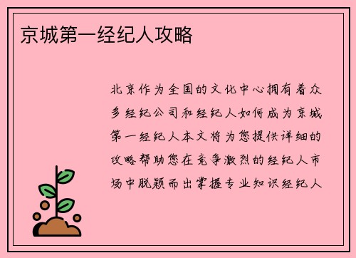 京城第一经纪人攻略